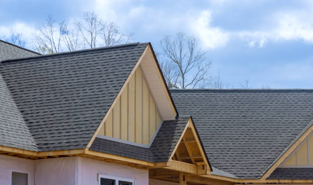 Best Asphalt Shingles Roofing  in Kingsley, MI